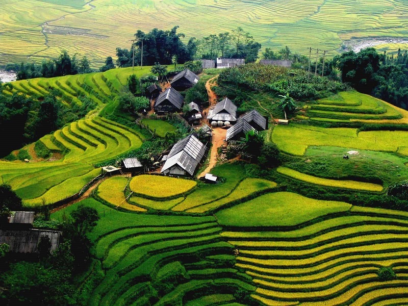Scenic Relics Muong Hoa Valley and Sapa Rice Terraces